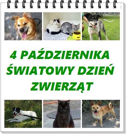 Miesiąc Ochrony Zwierząt.