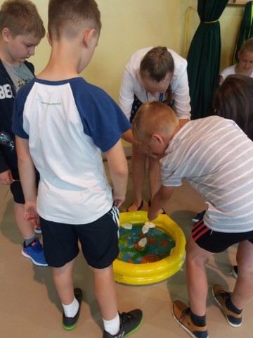 20170612_104249.jpg