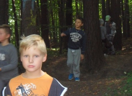 SAM_3512.JPG