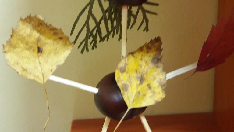 20161004_153942.jpg