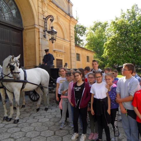 Klasy 6b i 6c na wycieczce klasowej do Łańcuta.