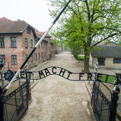 Absolwentki SP1 w projekcie Muzeum Auschwitz