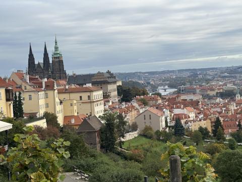 Wycieczka do Pargi - fotorelacja - dzień 2.