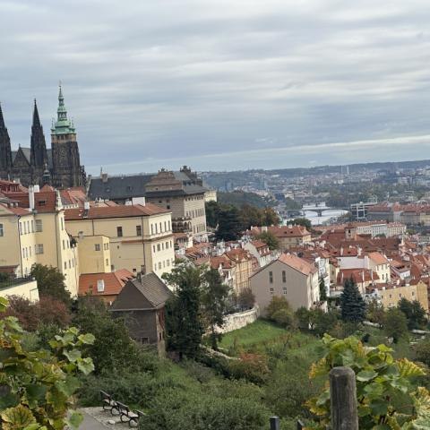 Wycieczka do Pargi - fotorelacja - dzień 2.