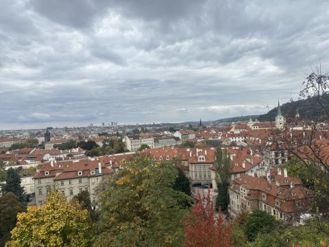 Wycieczka do Pargi - fotorelacja - dzień 3.