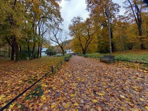 Wycieczka 5a i 5b do Ojcowskiego Parku Narodowego - fotorelacja.