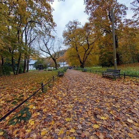Wycieczka 5a i 5b do Ojcowskiego Parku Narodowego - fotorelacja.