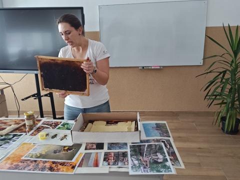 Pszczoły i inne zapylacze.