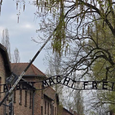 Delegacja SP 1  w Miejscu Pamięci Auschwitz – Birkenau