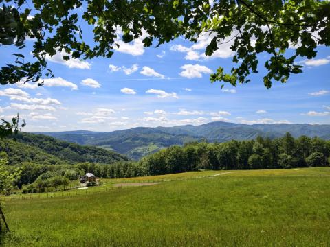Wycieczka klas piątych na Cyrlę