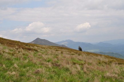 BIESZCZADY_171.JPG