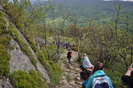 BIESZCZADY_203.JPG