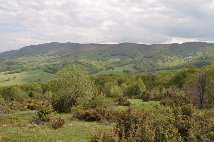 BIESZCZADY_222.JPG