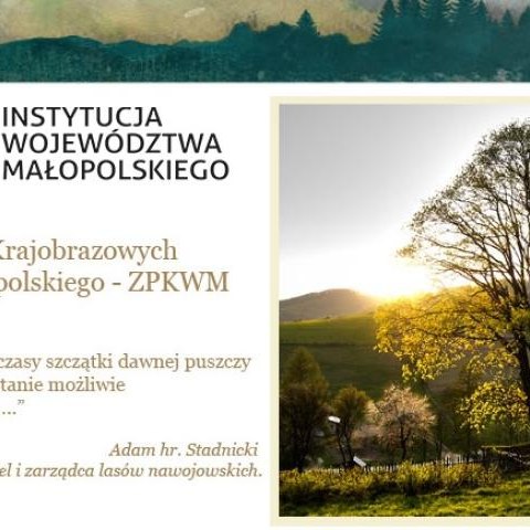 Członkowie szkolnego koła LOP poznają Beskid Sądecki.