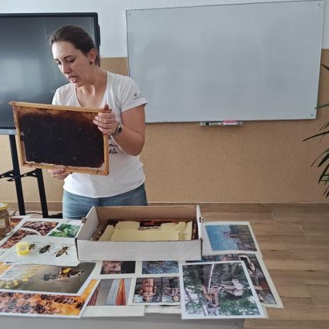 Pszczoły i inne zapylacze.